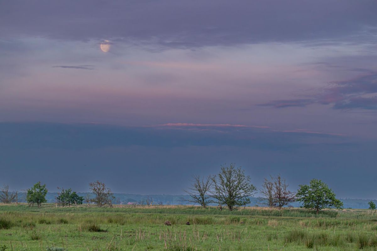 Landschaft