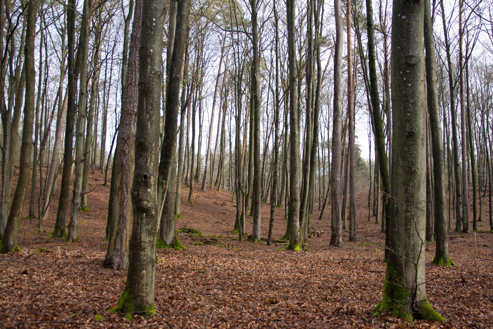 rechts geht es steil nach oben