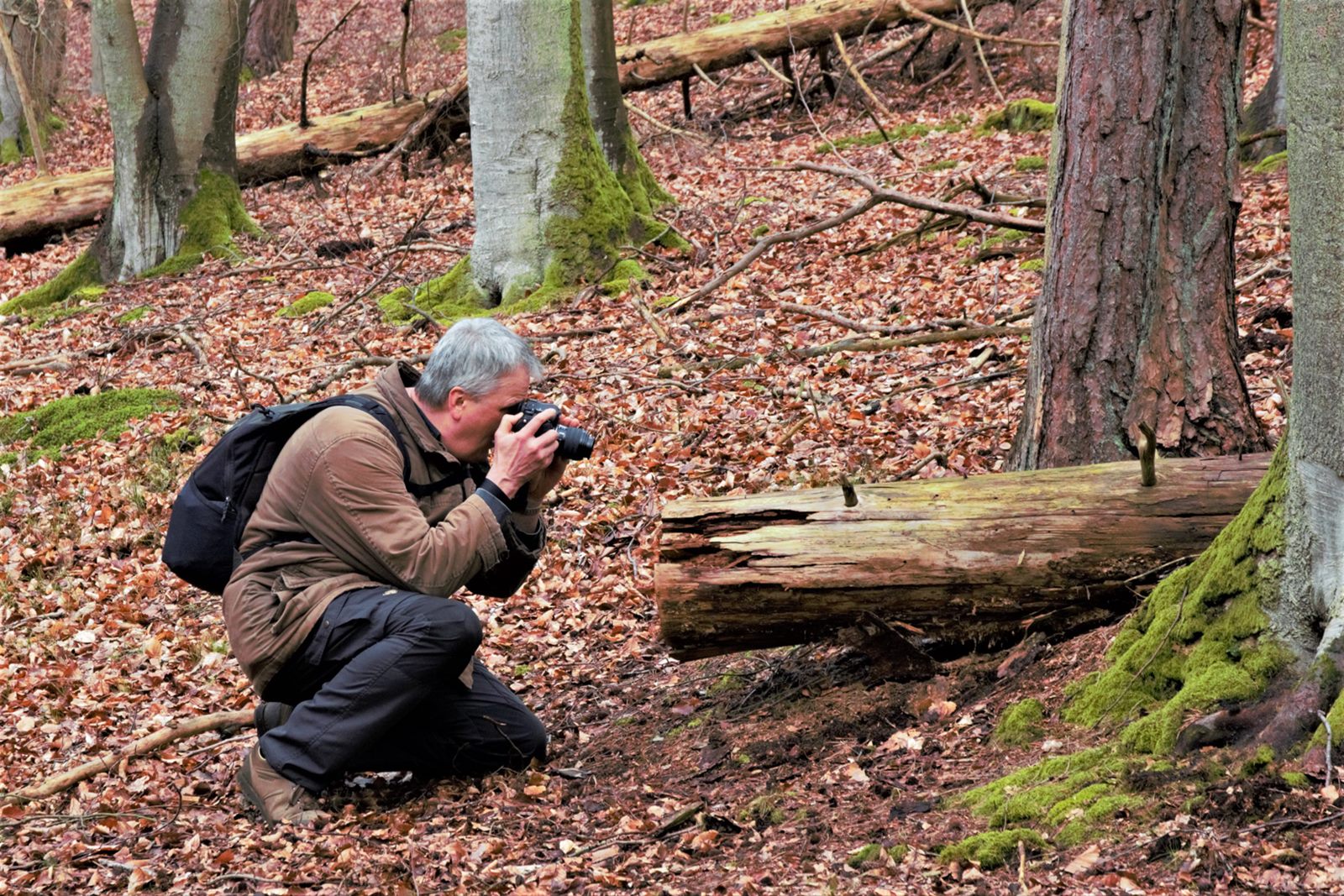 Axel beim nächsten Bild