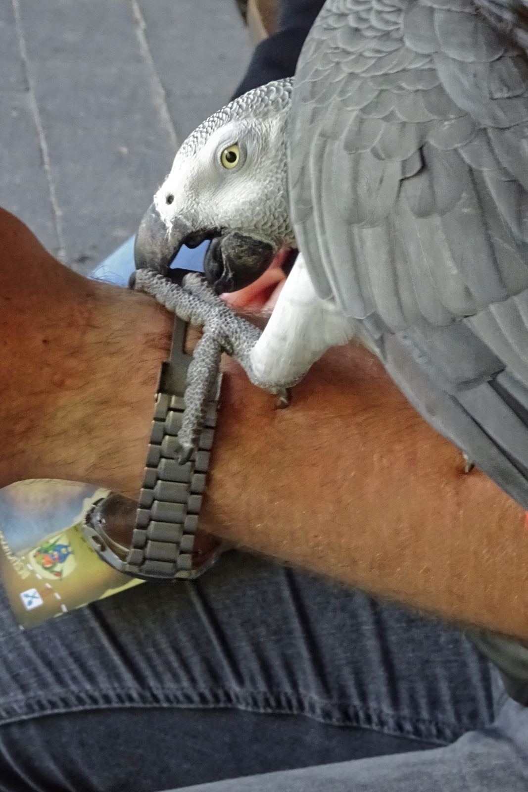 Fast geschafft und die Uhr gehört mir_!!_kleiner_!!