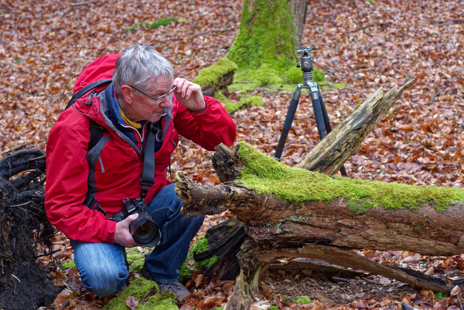 Holger hat was entdeckt